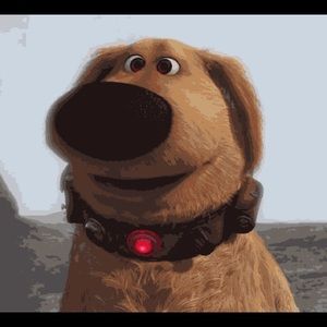 Meet your Posher, Onuwa